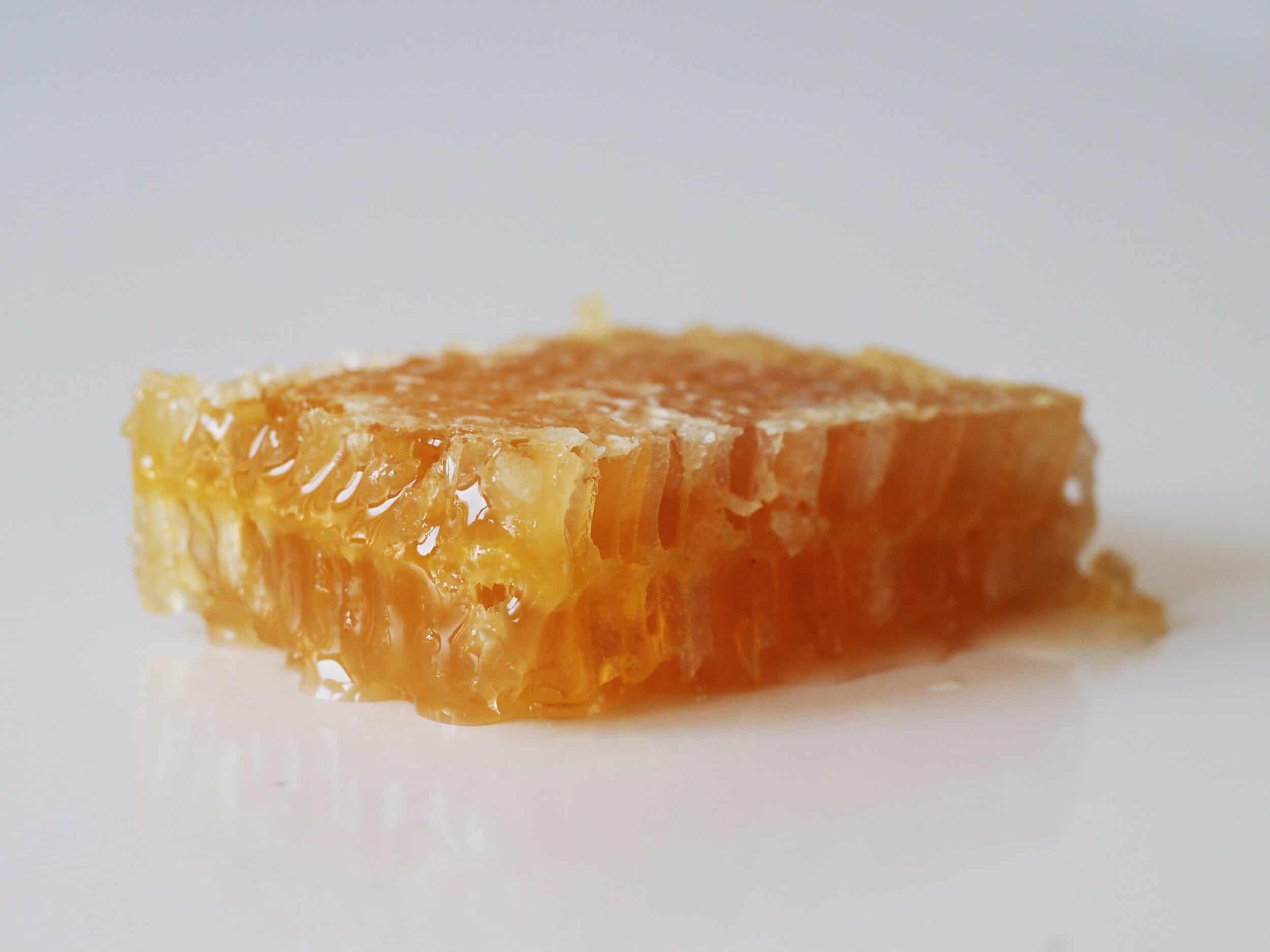 نسبة الغذاء الملكي في العسل